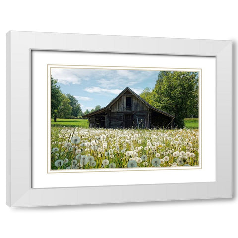 Barn 4 White Modern Wood Framed Art Print with Double Matting by Lee, Rachel