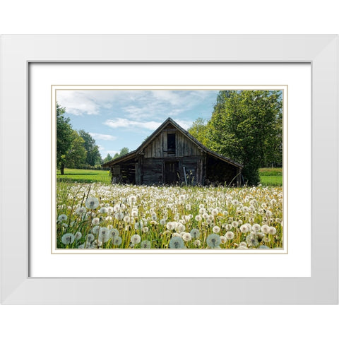 Barn 4 White Modern Wood Framed Art Print with Double Matting by Lee, Rachel
