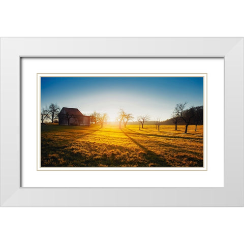 Barn 5 White Modern Wood Framed Art Print with Double Matting by Lee, Rachel