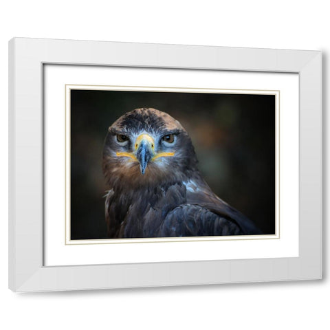 Bird 20 White Modern Wood Framed Art Print with Double Matting by Lee, Rachel