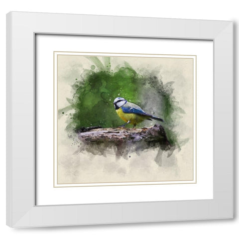 Bird 22 Watercolor White Modern Wood Framed Art Print with Double Matting by Lee, Rachel