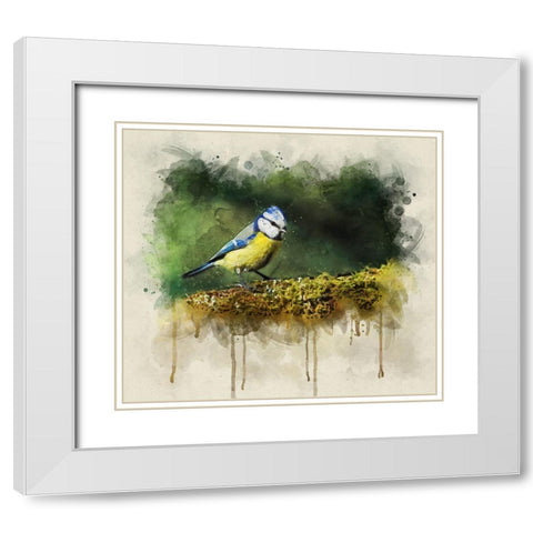 Bird 3 Watercolor White Modern Wood Framed Art Print with Double Matting by Lee, Rachel