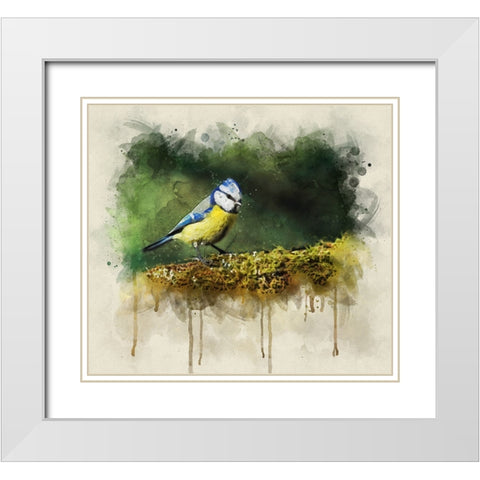 Bird 3 Watercolor White Modern Wood Framed Art Print with Double Matting by Lee, Rachel