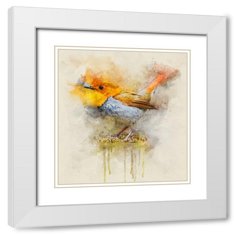 Bird 4 Watercolor White Modern Wood Framed Art Print with Double Matting by Lee, Rachel