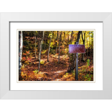 Boyd Gap Trail White Modern Wood Framed Art Print with Double Matting by Lee, Rachel