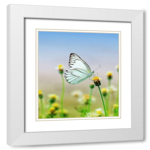 Butterfly 10 Dyptych Panel 1 White Modern Wood Framed Art Print with Double Matting by Lee, Rachel