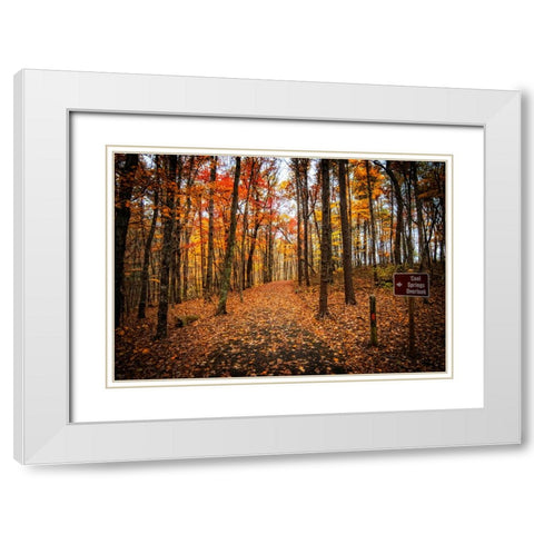Cool Springs Overlook White Modern Wood Framed Art Print with Double Matting by Lee, Rachel