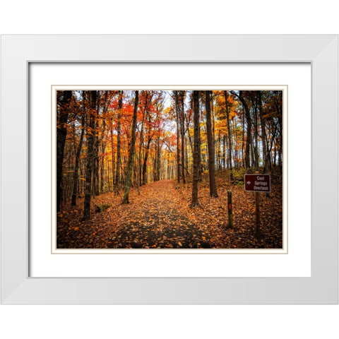 Cool Springs Overlook White Modern Wood Framed Art Print with Double Matting by Lee, Rachel