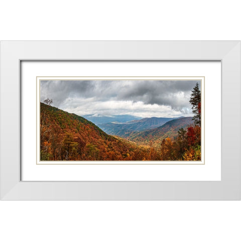 Cool Springs Overlook 2 White Modern Wood Framed Art Print with Double Matting by Lee, Rachel