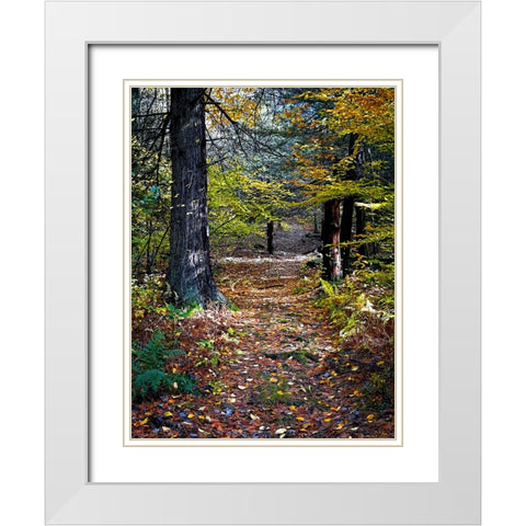 Country Road 19 White Modern Wood Framed Art Print with Double Matting by Lee, Rachel