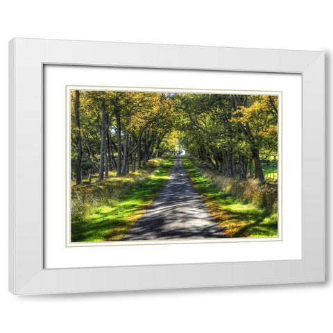 Country Road 21 White Modern Wood Framed Art Print with Double Matting by Lee, Rachel