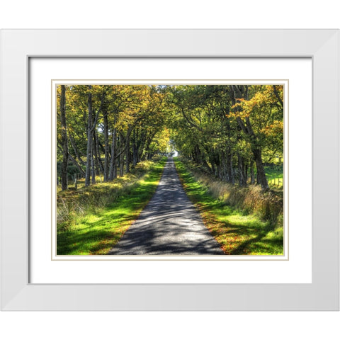 Country Road 21 White Modern Wood Framed Art Print with Double Matting by Lee, Rachel