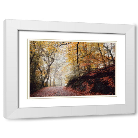 Country Road 4 White Modern Wood Framed Art Print with Double Matting by Lee, Rachel