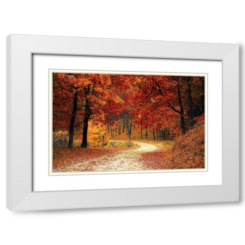 Country Road 9 White Modern Wood Framed Art Print with Double Matting by Lee, Rachel