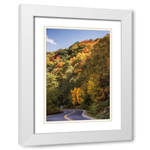 Fall Bend White Modern Wood Framed Art Print with Double Matting by Lee, Rachel