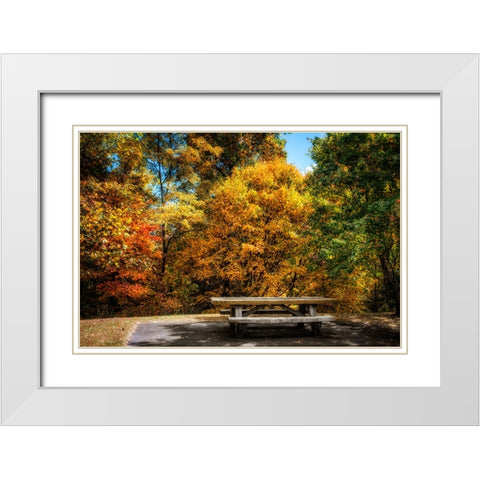 Fall Picnic White Modern Wood Framed Art Print with Double Matting by Lee, Rachel