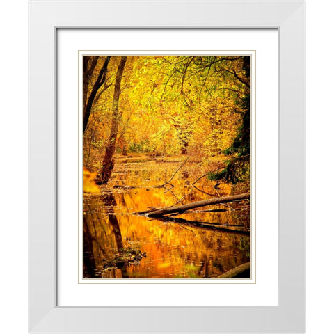 Fall Stream White Modern Wood Framed Art Print with Double Matting by Lee, Rachel