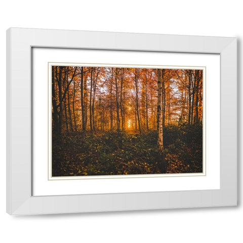Fall Trees 12 White Modern Wood Framed Art Print with Double Matting by Lee, Rachel