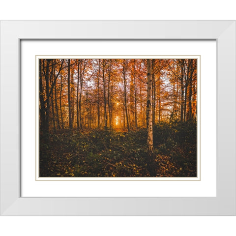 Fall Trees 12 White Modern Wood Framed Art Print with Double Matting by Lee, Rachel