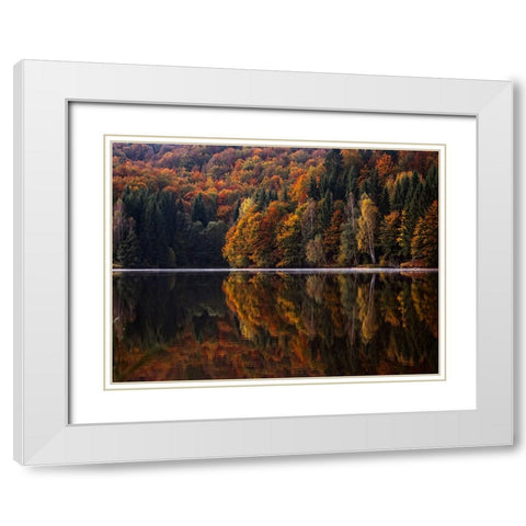 Fall Trees 13 White Modern Wood Framed Art Print with Double Matting by Lee, Rachel