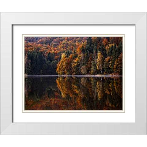 Fall Trees 13 White Modern Wood Framed Art Print with Double Matting by Lee, Rachel