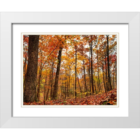 Fall Trees 19 White Modern Wood Framed Art Print with Double Matting by Lee, Rachel