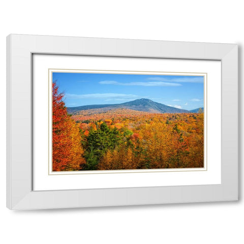 Fall Trees 6 White Modern Wood Framed Art Print with Double Matting by Lee, Rachel
