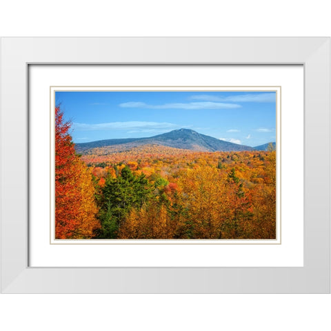 Fall Trees 6 White Modern Wood Framed Art Print with Double Matting by Lee, Rachel