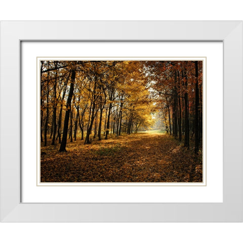 Fall Trees 9 White Modern Wood Framed Art Print with Double Matting by Lee, Rachel