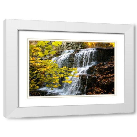 Fall Waterfall White Modern Wood Framed Art Print with Double Matting by Lee, Rachel