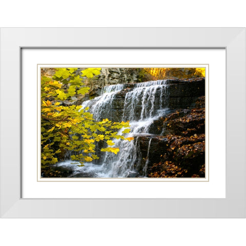 Fall Waterfall White Modern Wood Framed Art Print with Double Matting by Lee, Rachel