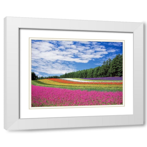 Field 19 White Modern Wood Framed Art Print with Double Matting by Lee, Rachel