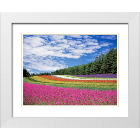 Field 19 White Modern Wood Framed Art Print with Double Matting by Lee, Rachel