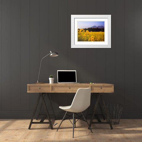 Field 22 White Modern Wood Framed Art Print with Double Matting by Lee, Rachel