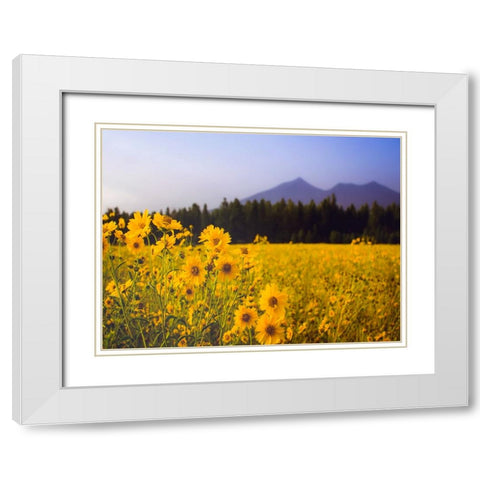 Field 22 White Modern Wood Framed Art Print with Double Matting by Lee, Rachel