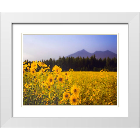 Field 22 White Modern Wood Framed Art Print with Double Matting by Lee, Rachel