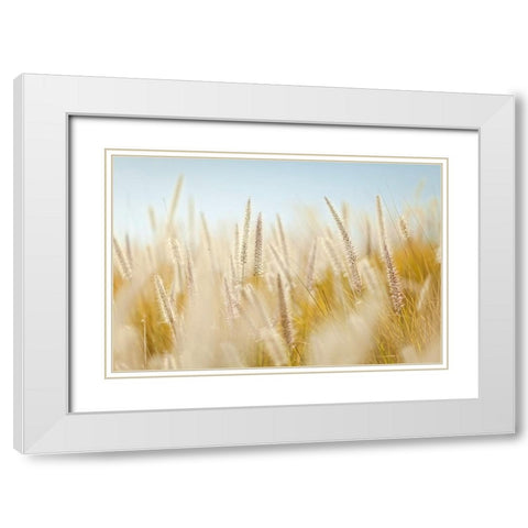 Field 6 White Modern Wood Framed Art Print with Double Matting by Lee, Rachel