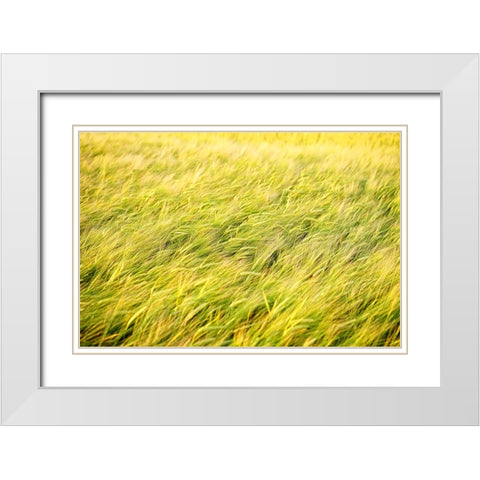 Field 8 White Modern Wood Framed Art Print with Double Matting by Lee, Rachel