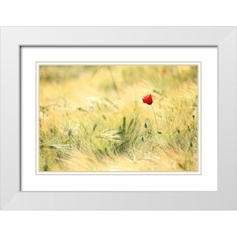 Field 9 White Modern Wood Framed Art Print with Double Matting by Lee, Rachel