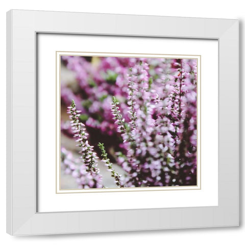 Flower 20 White Modern Wood Framed Art Print with Double Matting by Lee, Rachel