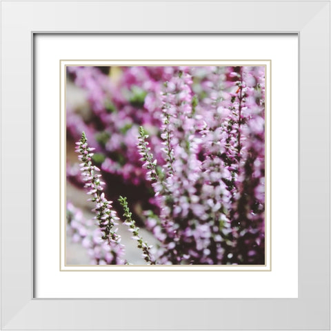 Flower 20 White Modern Wood Framed Art Print with Double Matting by Lee, Rachel