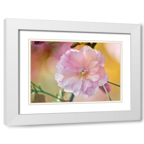 Flower 28 White Modern Wood Framed Art Print with Double Matting by Lee, Rachel