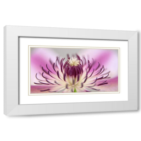 Flower 31 White Modern Wood Framed Art Print with Double Matting by Lee, Rachel