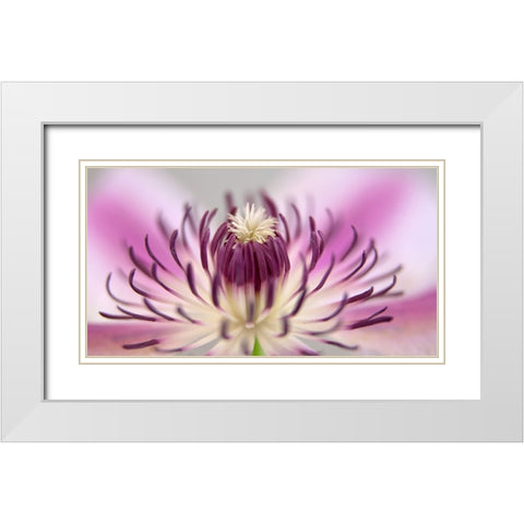 Flower 31 White Modern Wood Framed Art Print with Double Matting by Lee, Rachel