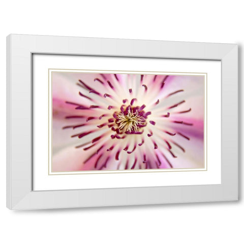 Flower 32 White Modern Wood Framed Art Print with Double Matting by Lee, Rachel