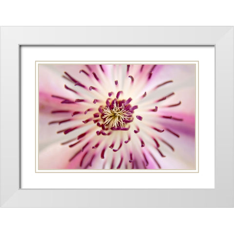 Flower 32 White Modern Wood Framed Art Print with Double Matting by Lee, Rachel