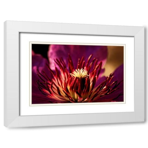 Flower 34 White Modern Wood Framed Art Print with Double Matting by Lee, Rachel