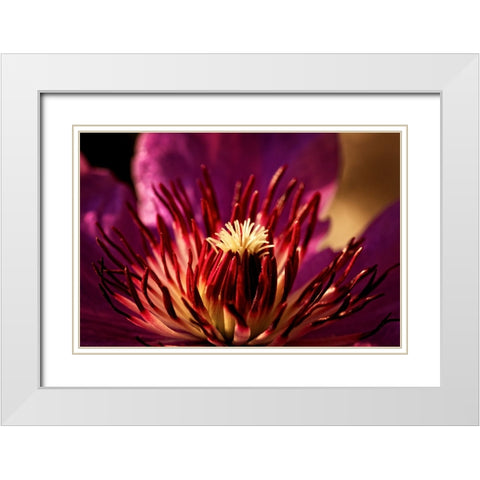 Flower 34 White Modern Wood Framed Art Print with Double Matting by Lee, Rachel