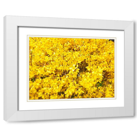 Flower 38 White Modern Wood Framed Art Print with Double Matting by Lee, Rachel