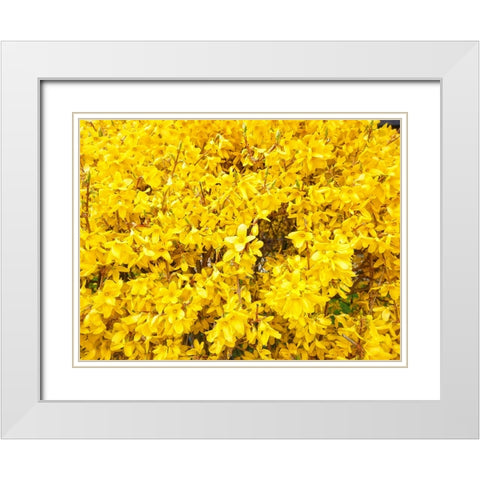 Flower 38 White Modern Wood Framed Art Print with Double Matting by Lee, Rachel